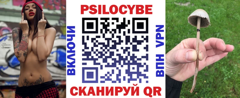 Купить где  Норильск  Галлюциногенные грибы GOLDEN TEACHER 